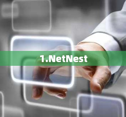 1.NetNest 1.NetNest