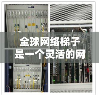 全球网络梯子是一个灵活的网络架构，旨在将全球范围内的网络分成多个区域，通过 trunk 线连接到中央服务器，确保数据在不同区域之间顺利交换。以下是梯子网络的详细结构和优势