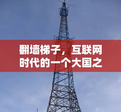 翻墙梯子,互联网时代的一个大国之谜 翻墙梯子,互联网时代的一个大国之谜