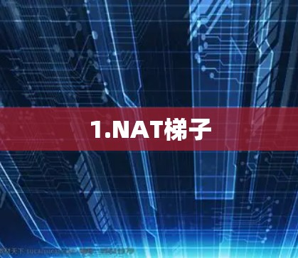 1.NAT梯子 1.NAT梯子