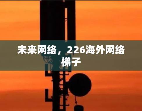 未来网络，226海外网络梯子