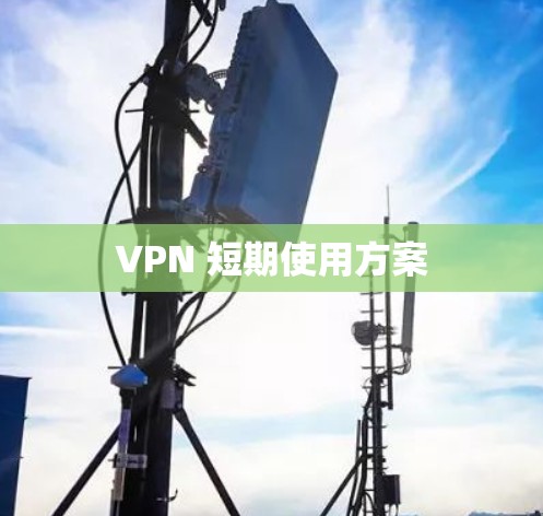 VPN 短期使用方案