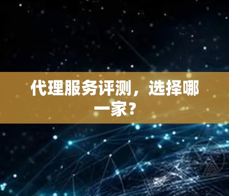 代理服务评测,选择哪一家? 代理服务评测,选择哪一家?