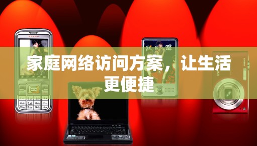家庭网络访问方案，让生活更便捷