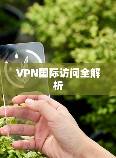VPN国际访问全解析 VPN国际访问全解析