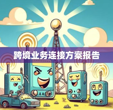 跨境业务连接方案报告