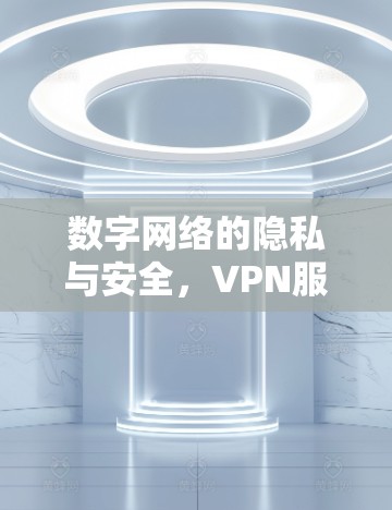 数字网络的隐私与安全,VPN服务质量评估 数字网络的隐私与安全,VPN服务质量评估