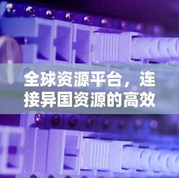 全球资源平台,连接异国资源的高效工具 全球资源平台,连接异国资源的高效工具