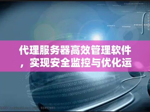 代理服务器高效管理软件,实现安全监控与优化运行 代理服务器高效管理软件,实现安全监控与优化运行