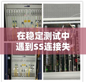 在稳定测试中遇到SS连接失败的问题，可以通过以下步骤逐步排查和解决