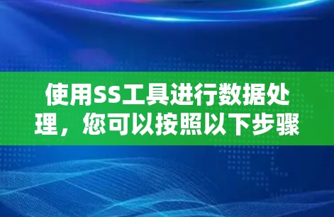 使用SS工具进行数据处理,您可以按照以下步骤进行 使用SS工具进行数据处理,您可以按照以下步骤进行
