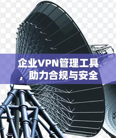 企业VPN管理工具，助力合规与安全