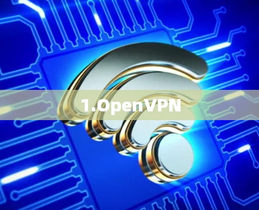 1.OpenVPN 1.OpenVPN