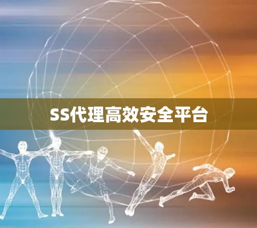 SS代理高效安全平台 SS代理高效安全平台
