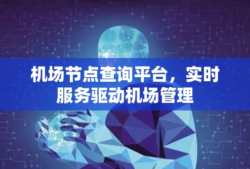 机场节点查询平台，实时服务驱动机场管理