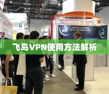 飞鸟VPN使用方法解析