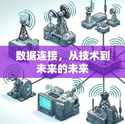 数据连接,从技术到未来的未来 数据连接,从技术到未来的未来