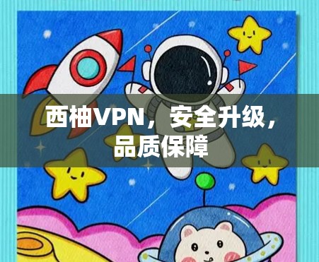 西柚VPN，安全升级，品质保障