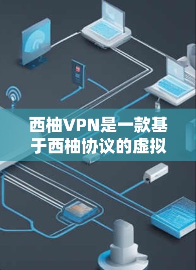 西柚VPN是一款基于西柚协议的虚拟网络服务，旨在为用户提供安全、可靠的VPN体验。以下是一步步的使用攻略