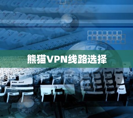 熊猫VPN线路选择