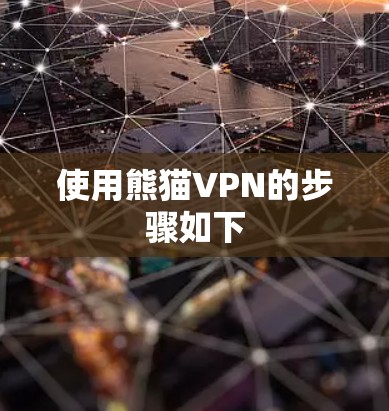 使用熊猫VPN的步骤如下