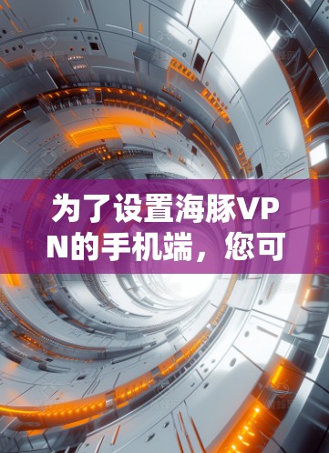 为了设置海豚VPN的手机端，您可以按照以下步骤进行