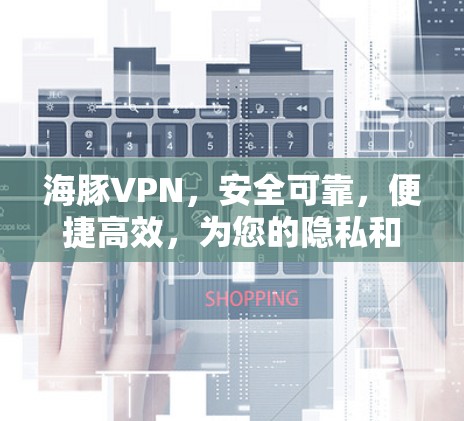 海豚VPN,安全可靠,便捷高效,为您的隐私和数据保驾护航 海豚VPN,安全可靠,便捷高效,为您的隐私和数据保驾护航