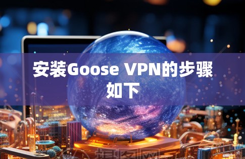 安装Goose VPN的步骤如下 安装Goose VPN的步骤如下