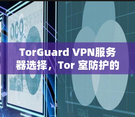 TorGuard VPN服务器选择,Tor 室防护的关键解决方案 TorGuard VPN服务器选择,Tor 室防护的关键解决方案
