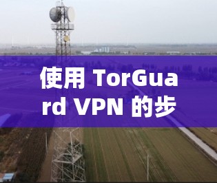 使用 TorGuard VPN 的步骤如下 使用 TorGuard VPN 的步骤如下