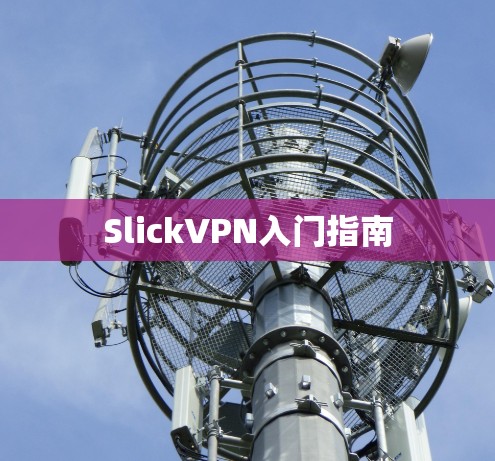 SlickVPN入门指南 SlickVPN入门指南