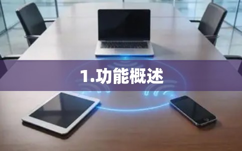 1.功能概述 1.功能概述