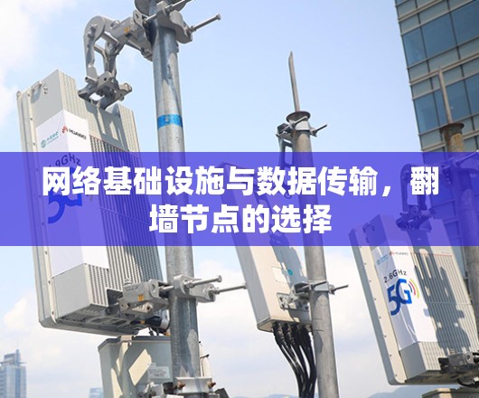网络基础设施与数据传输,翻墙节点的选择 网络基础设施与数据传输,翻墙节点的选择