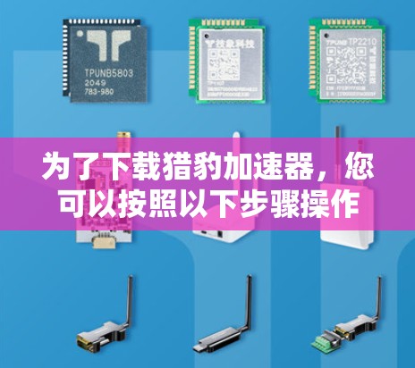 为了下载猎豹加速器，您可以按照以下步骤操作