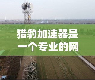 猎豹加速器是一个专业的网络加速工具，旨在提升在线体验。以下是对猎豹加速器的详细步骤和使用指南