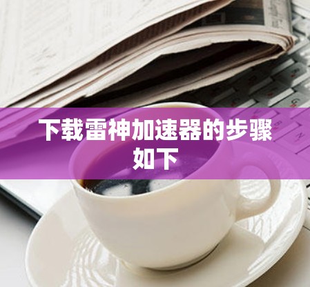 下载雷神加速器的步骤如下 下载雷神加速器的步骤如下