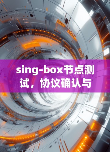 sing-box节点测试，协议确认与性能优化