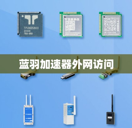 蓝羽加速器外网访问 蓝羽加速器外网访问