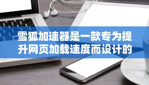 雪狐加速器是一款专为提升网页加载速度而设计的加速工具,具有多种功能和优化选项,适合不同需求的用户。以下是对其的评测 雪狐加速器是一款专为提升网页加载速度而设计的加速工具,具有多种功能和优化选项,适合不同需求的用户。以下是对其的评测