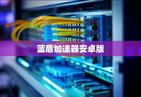蓝盾加速器安卓版 蓝盾加速器安卓版