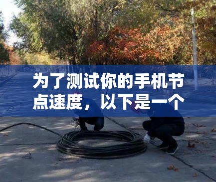 为了测试你的手机节点速度，以下是一个清晰的步骤指南