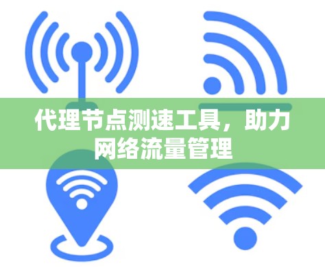 代理节点测速工具，助力网络流量管理