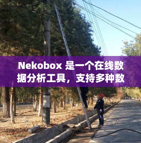 Nekobox 是一个在线数据分析工具,支持多种数据源,如 Excel、CSV、JSON 等格式的数据。以下是使用 Nekobox 的基本步骤 Nekobox 是一个在线数据分析工具,支持多种数据源,如 Excel、CSV、JSON 等格式的数据。以下是使用 Nekobox 的基本步骤