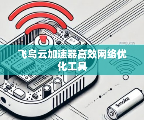 飞鸟云加速器高效网络优化工具 飞鸟云加速器高效网络优化工具