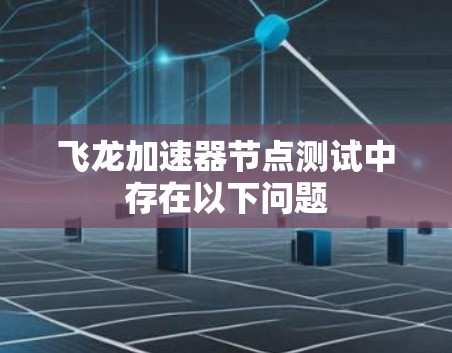 飞龙加速器节点测试中存在以下问题 飞龙加速器节点测试中存在以下问题