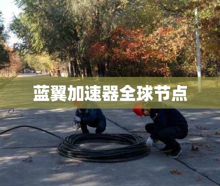 蓝翼加速器全球节点 蓝翼加速器全球节点