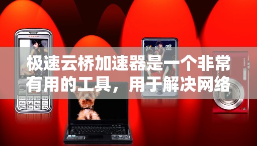 极速云桥加速器是一个非常有用的工具，用于解决网络延迟问题。以下是详细的步骤指南