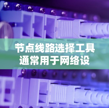 节点线路选择工具通常用于网络设计、规划和优化。以下是一些常用工具和方法，帮助你选择合适的节点和线路