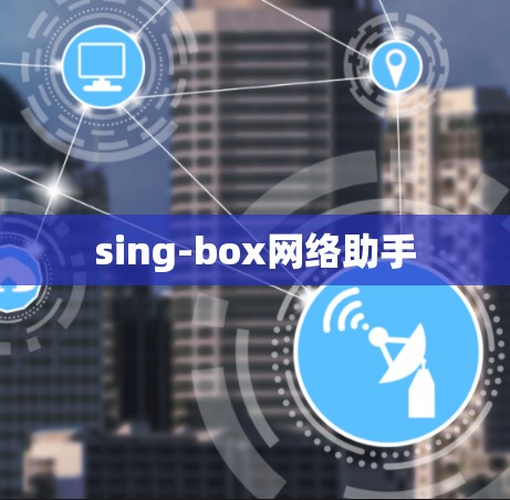 sing-box网络助手 sing-box网络助手