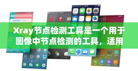 Xray节点检测工具是一个用于图像中节点检测的工具，适用于医学、生物样本等领域。以下是逐步的使用指南